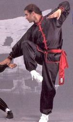 Kung Fu - Wu Shu Anzug schwarz-rot