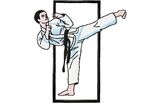 Stickmotiv Taekwondo - EMB-SP661