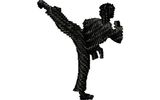 Stickmotiv Kämpfer / Martial Art Figure DAC-SP3157