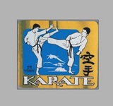 PVC-Aufkleber Karate-Kampf, metallic
