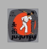 PVC-Aufkleber Ju-Jutsu-Kampf