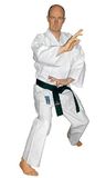 Karategi Hayashi KAMIZA