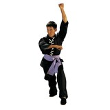 Kung Fu Wushu Anzug