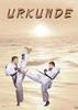 Urkunde Karate-Sonne wettkampf wettkampfartikel urkunde urkunden karate auszeichnungen auszeichnung