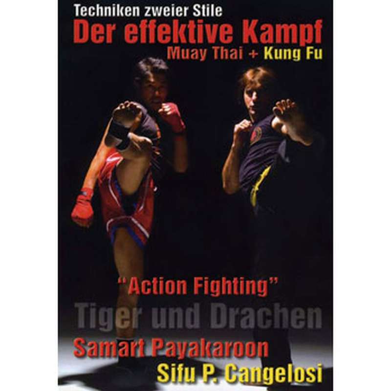 Action Fighting - Tiger und Drachen
