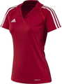  T12 Team ClimaCool Polo Damen, Rot 38