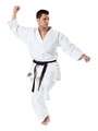  Karate Anzug Kata 12 oz Tradition 190