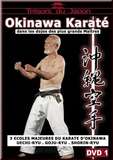 Abanico Okinawa Karate 1