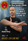  Traditional Ip Man Wing Chun Kung Fu Vol.1