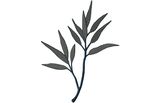 Budoten  Stickmotiv Asiatischer Blätterzweig / Bambus / Asian Tree Brunch - EMB-56003