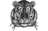 Stickmotiv Tiger EMB-Tiger