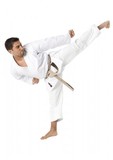Tokaido  Karategi Ultimate (SAW), weiß