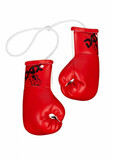 DAX Mini Boxhandschuhe, rot