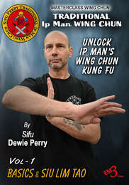 Traditional Ip Man Wing Chun Kung Fu Vol.1