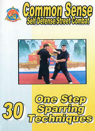 30 One Step Sparring Techniques - Common Sense Self Defense/Street Combat