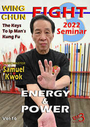 Mastering Wing Chun Vol.16 Samuel Kwok Energy & Power