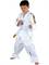 Taekwondo Anzug Tiger, Kwon Club Line Edition