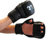 MMA und Freefight Handschutz