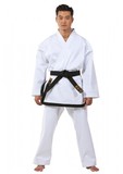 Taekwondo-Dobok Master